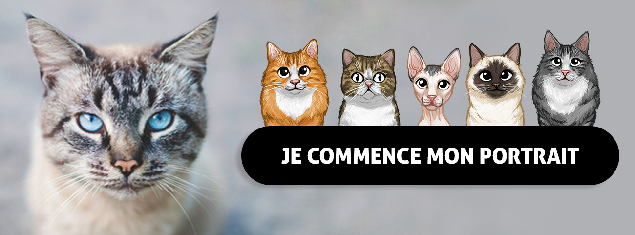 Cadeau pour chat - Tableau chat