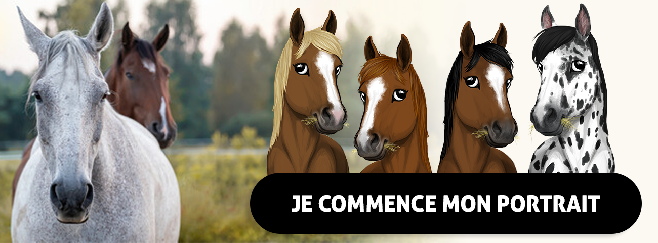 tableau-cheval-cadre-de-box-cheval