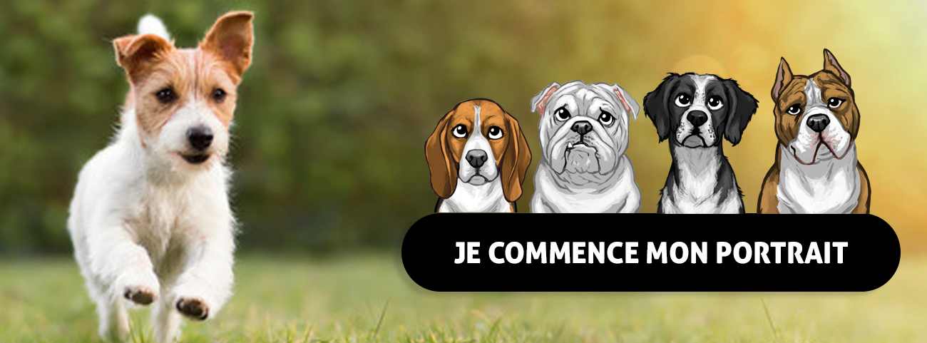 Cadeau-pour-chien-portrait-chien
