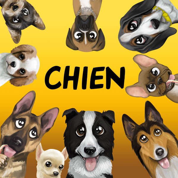 Chien