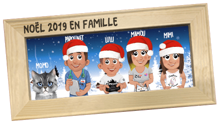 Idée cadeau original, un cadre rigolo pour tout événement - Famille de  dingue